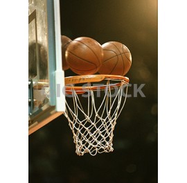 Ball Sports 15